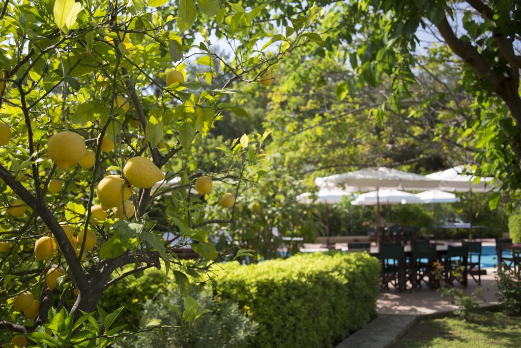 Mr. Dim Exclusive Apart Hotel Gocek  Exterior photo